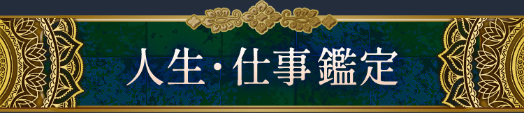 �������Ż�����