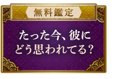 ��̵������ۡڤ��ä�������ˤɤ��פ��Ƥ롩��ǭ�����åȤ��⤫�֥ꥢ����ܲ�