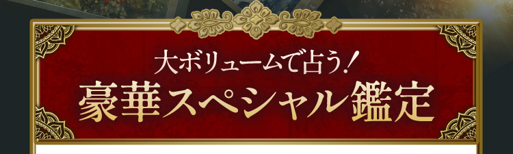 大ボリュームで占う!豪華スペシャル鑑定