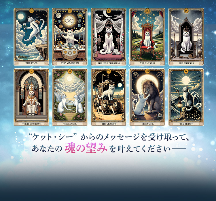 ȥå·ɤΥåäơʤκ˾ߤ𤨤Ƥ