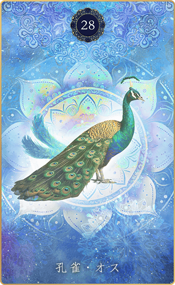 三摩耶オラクル｜孔雀・オス